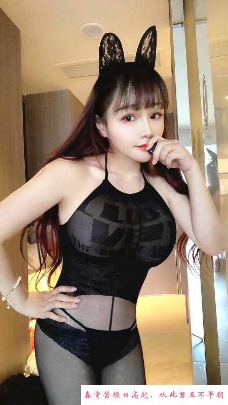 宝安红牌奶兔妹 第4张